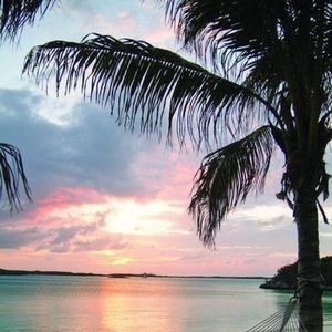 Meet your Posher, Daniela